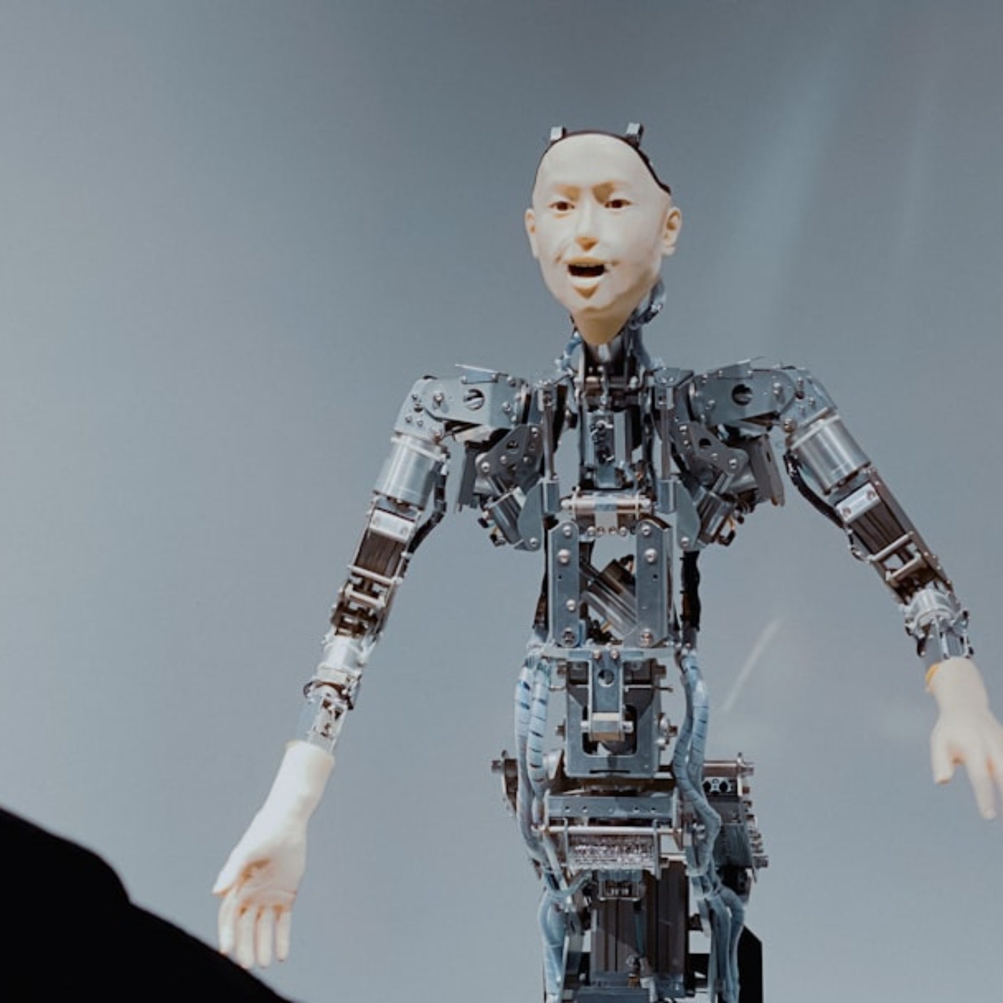 Home 39 Photo Humanoid Robots