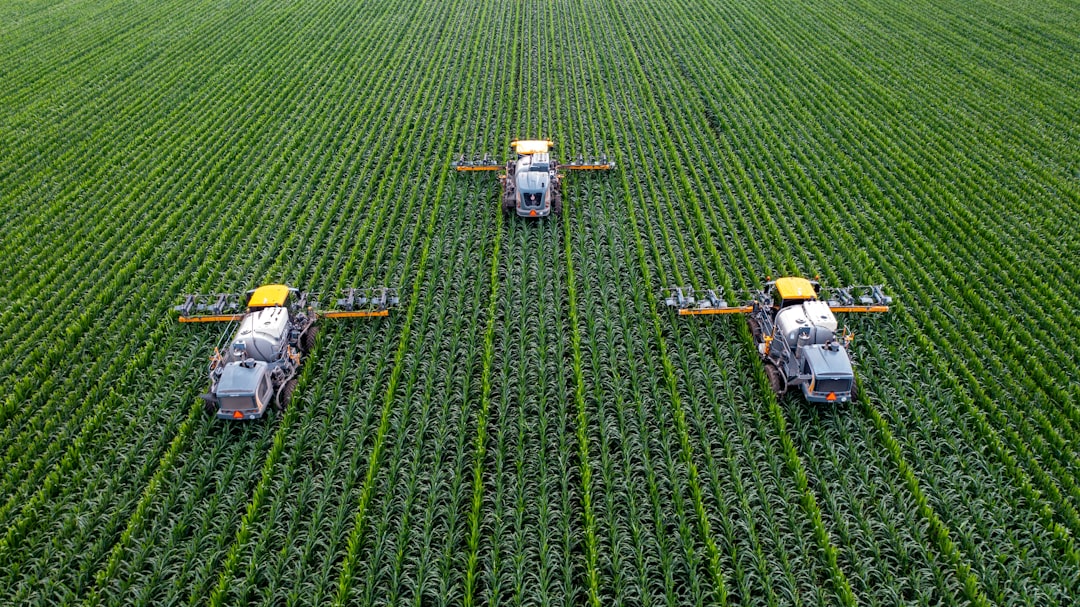 Photo Agricultural Yields