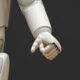 Photo Biomimetic Robotics