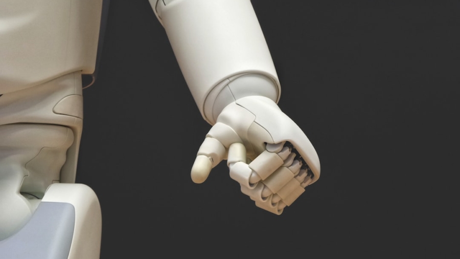 Photo Biomimetic Robotics