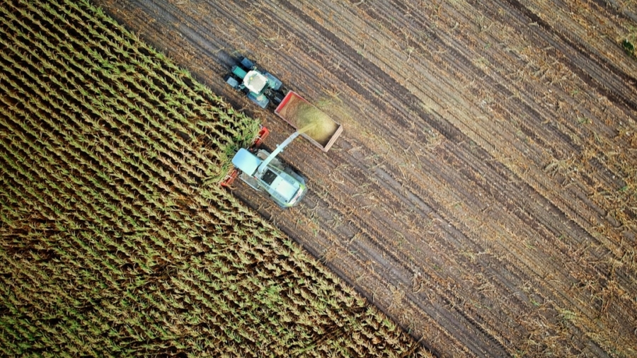 Photo Smart Agriculture