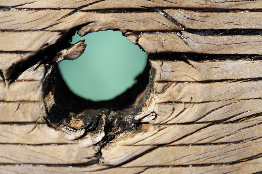 Photo Pi-hole