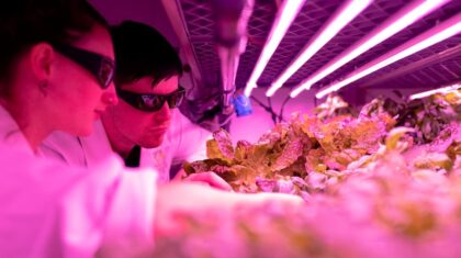 Photo Vertical Farming Automation
