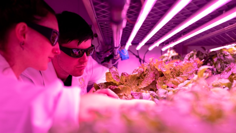 Photo Vertical Farming Automation