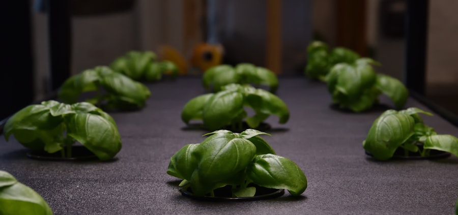 Photo Vertical Farming Automation