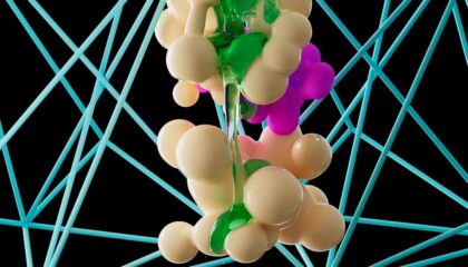 Photo Phage Therapy