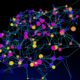 Photo Edge Computing Nodes