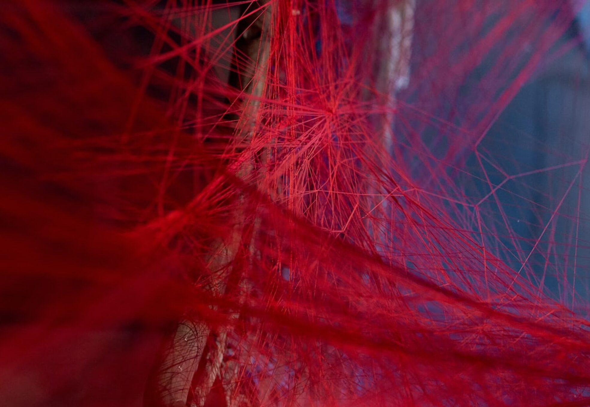 Photo Bioprinting Functional Blood Vessels