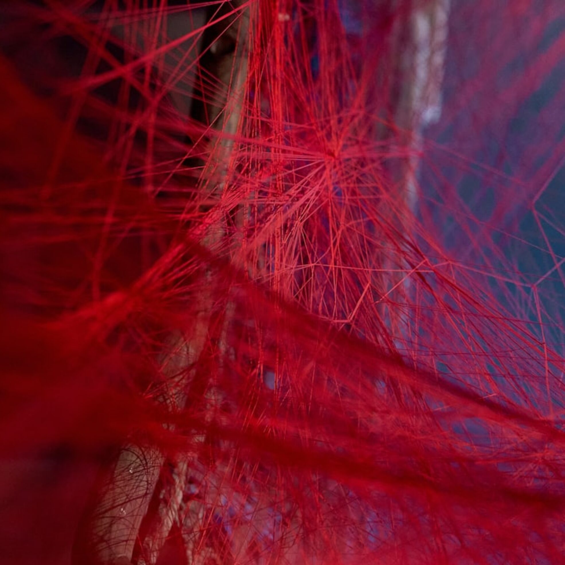 Photo Bioprinting Functional Blood Vessels