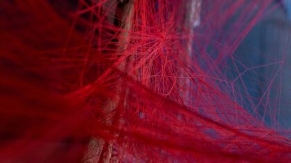Photo Bioprinting Functional Blood Vessels