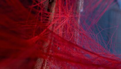 Photo Bioprinting Functional Blood Vessels