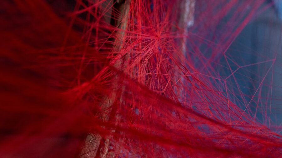 Photo Bioprinting Functional Blood Vessels