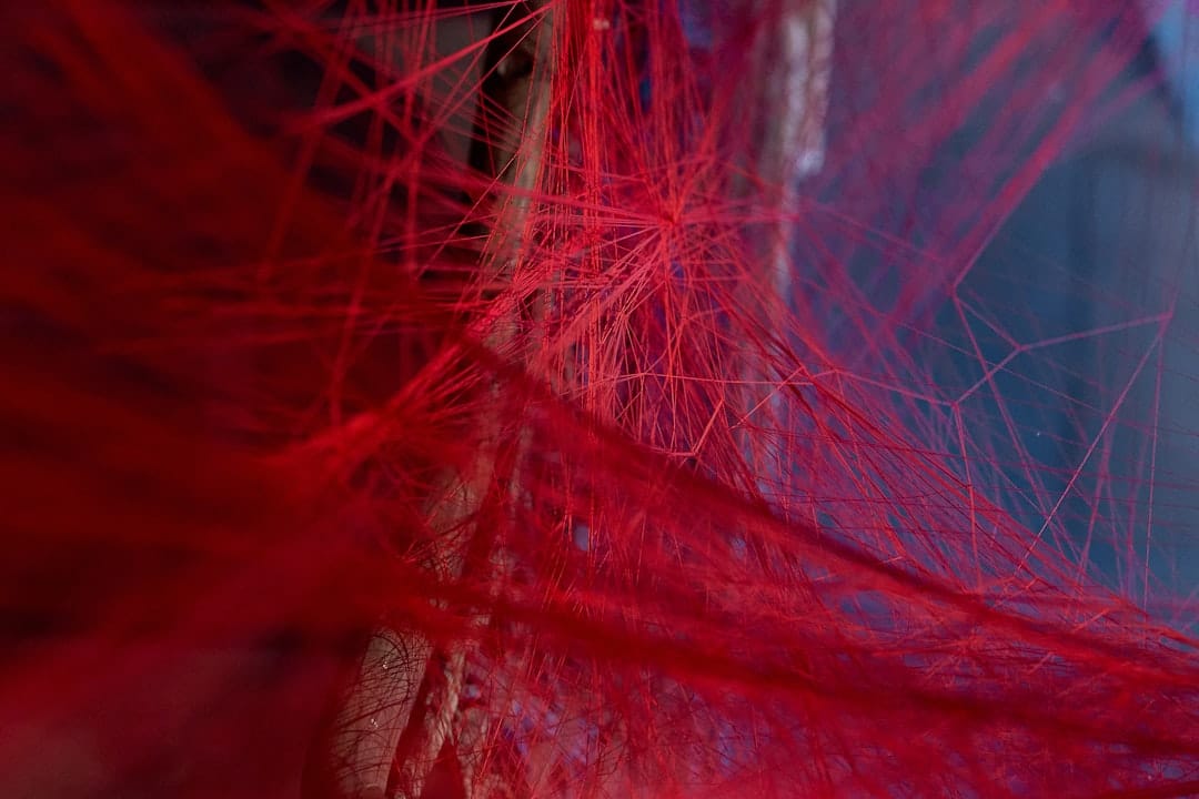 Photo Bioprinting Functional Blood Vessels