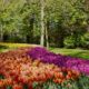 Photo Smart Garden Automation System