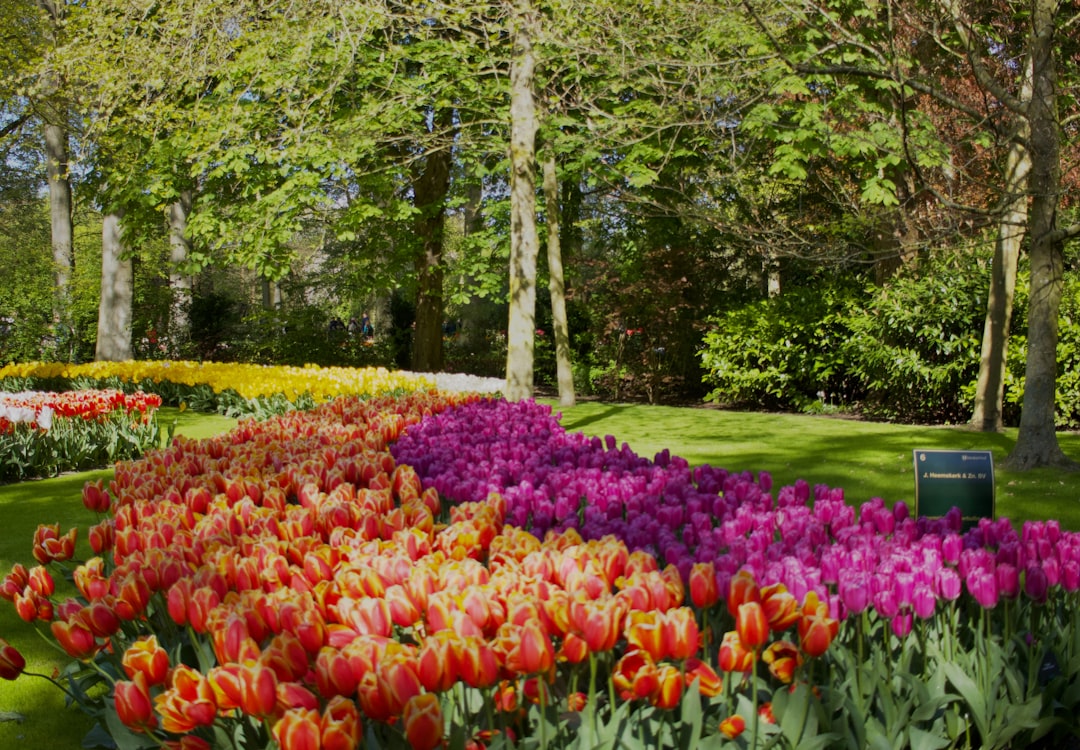 Photo Smart Garden Automation System