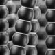 Photo Graphene