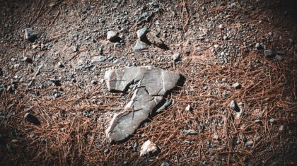Photo Website Carbon Footprints