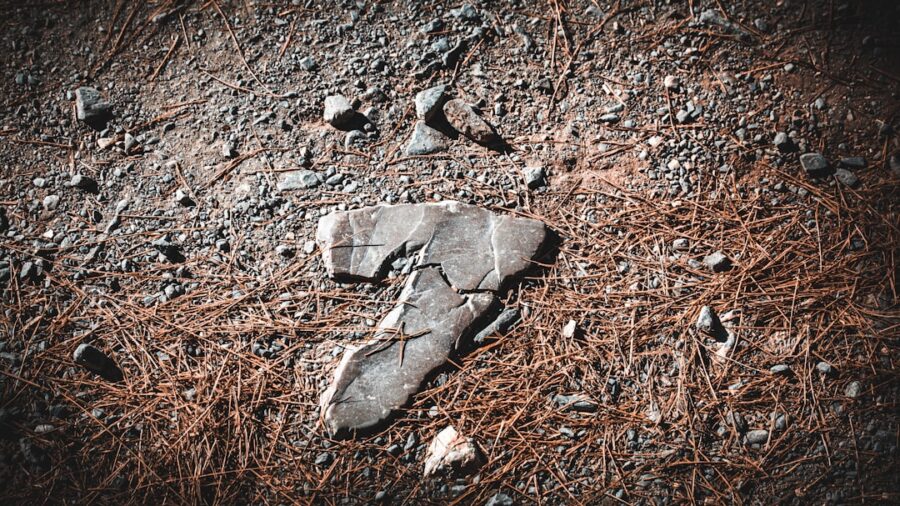 Photo Website Carbon Footprints