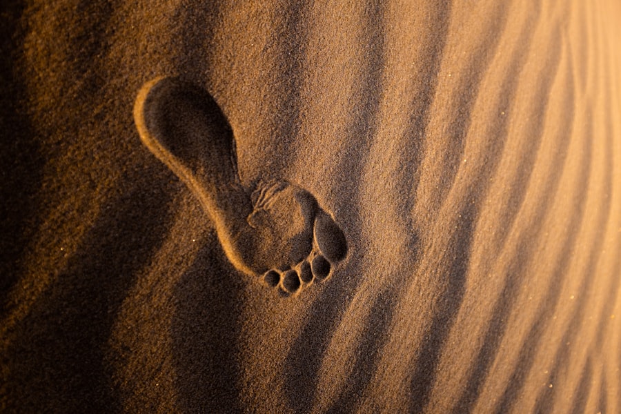 Photo Website Carbon Footprints