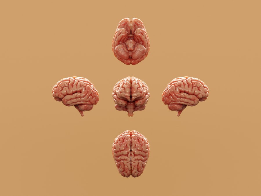 Photo Neurodivergent Users