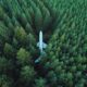 Photo Sustainable Aviation Fuel