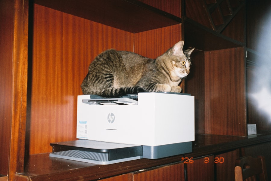 Photo Smart Pet Feeder