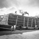 Photo Docker Compose