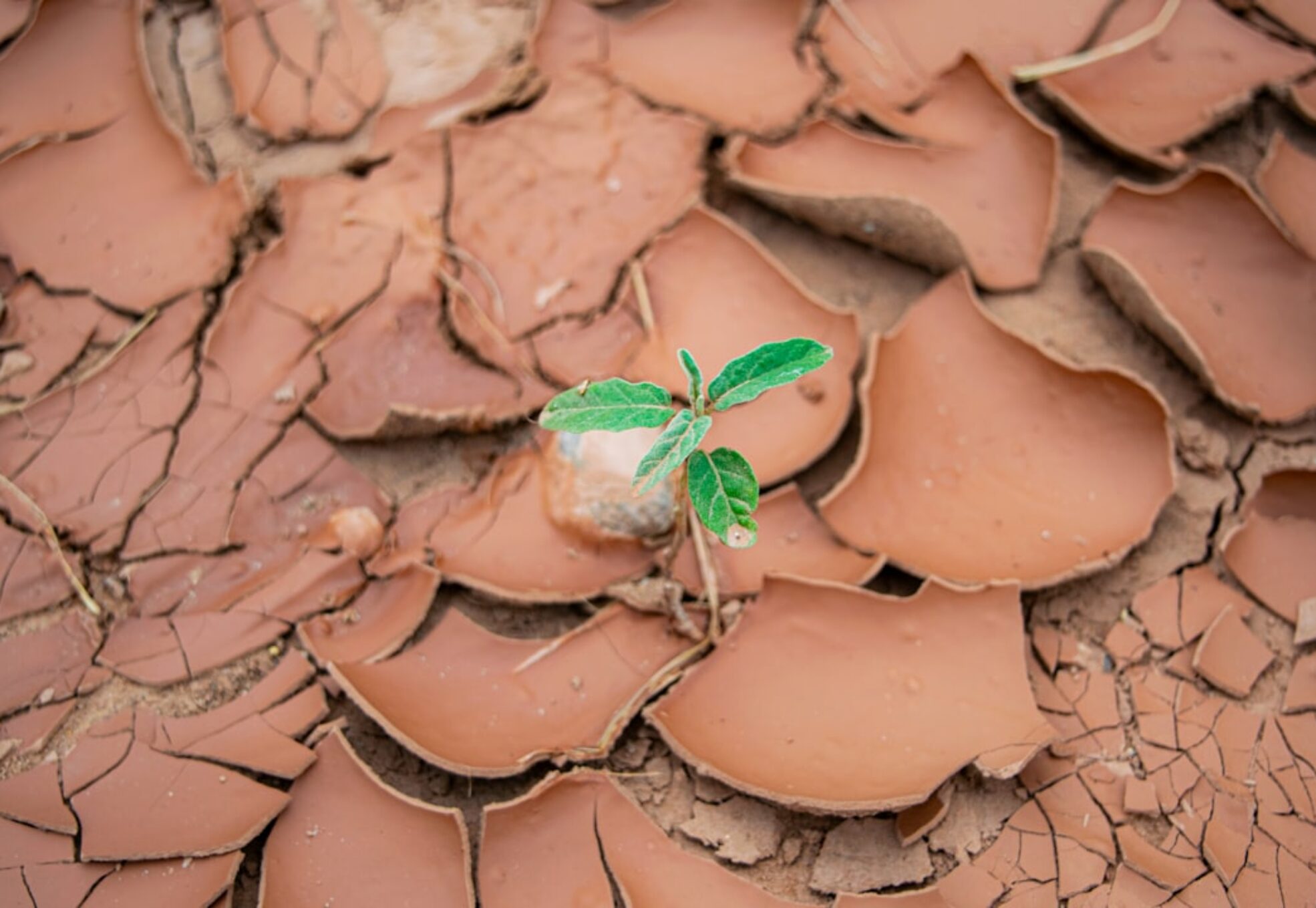 Photo Environmental Impact
