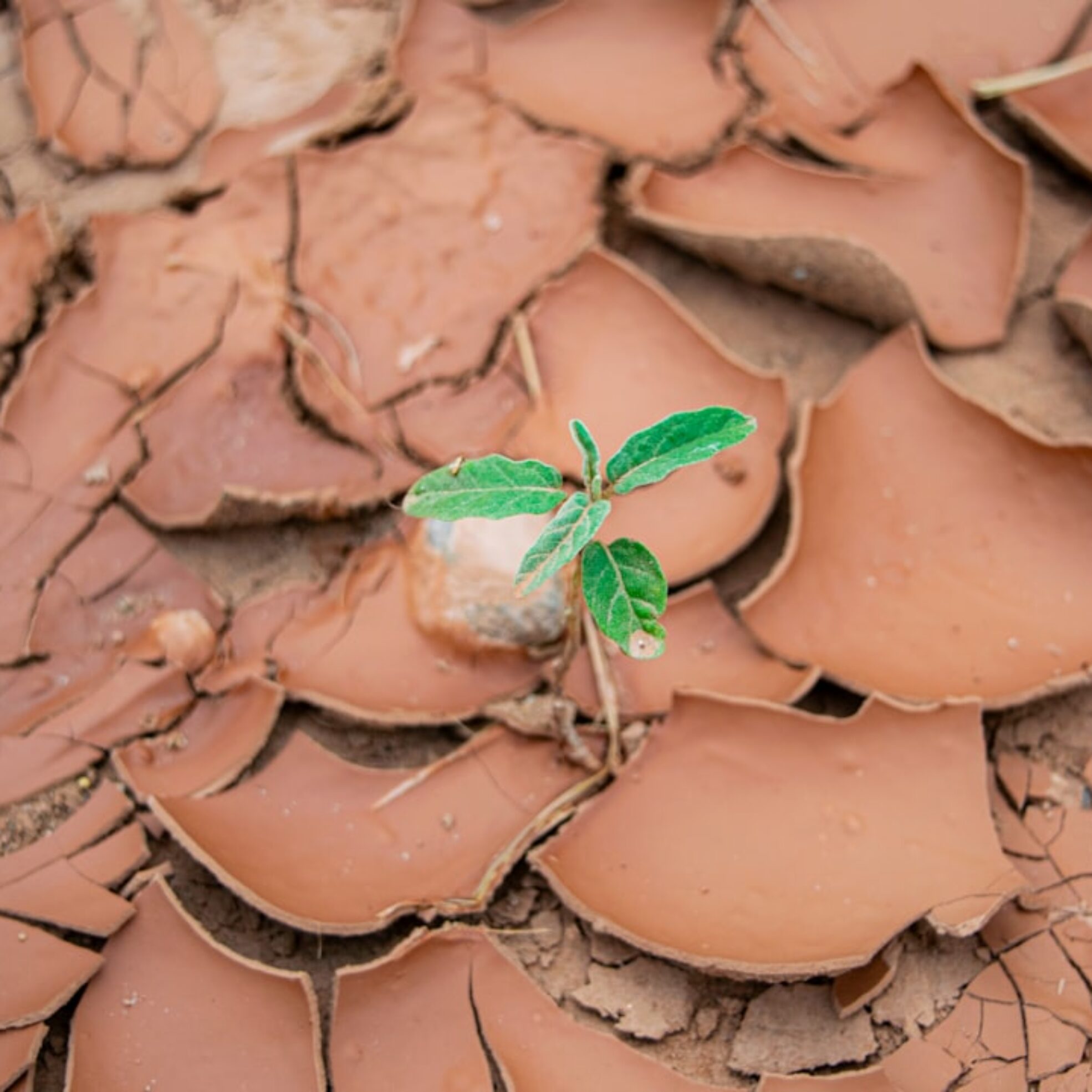 Photo Environmental Impact