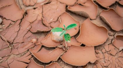 Photo Environmental Impact