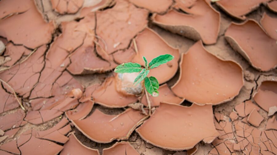 Photo Environmental Impact