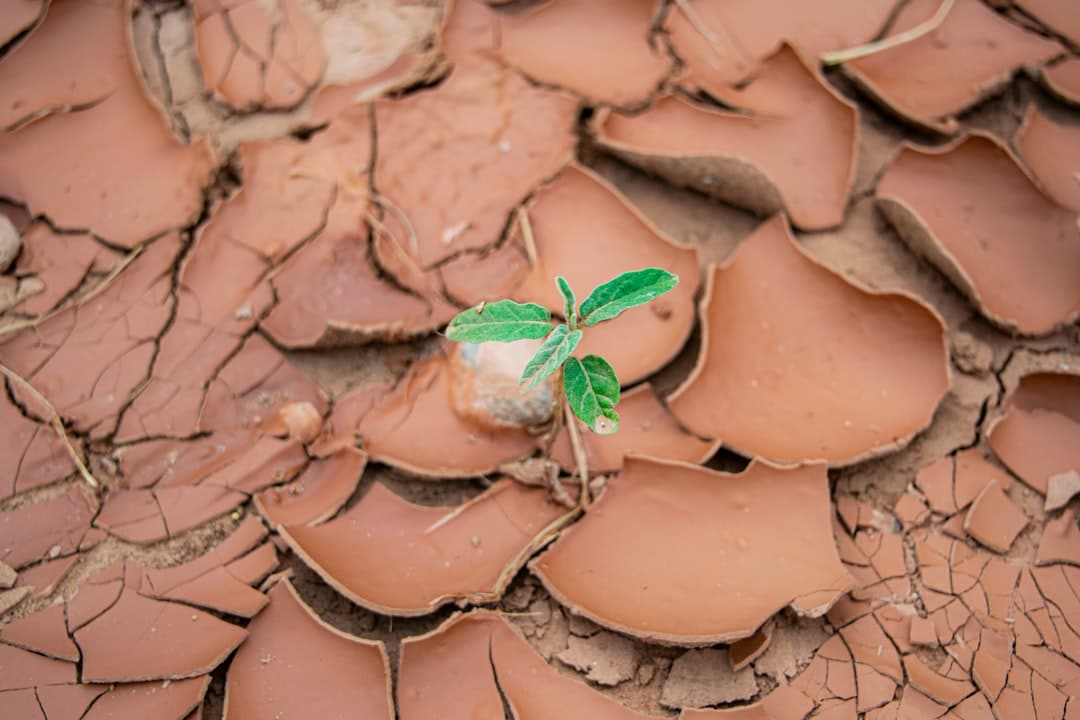 Photo Environmental Impact