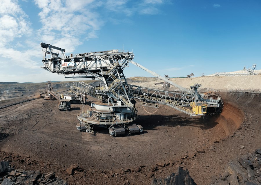 Biomining Rare Earth Metals