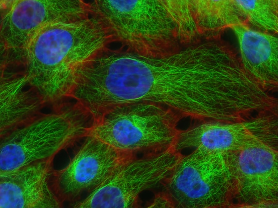 Synthetic Biology