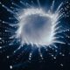 Photo Post-Quantum Cryptography