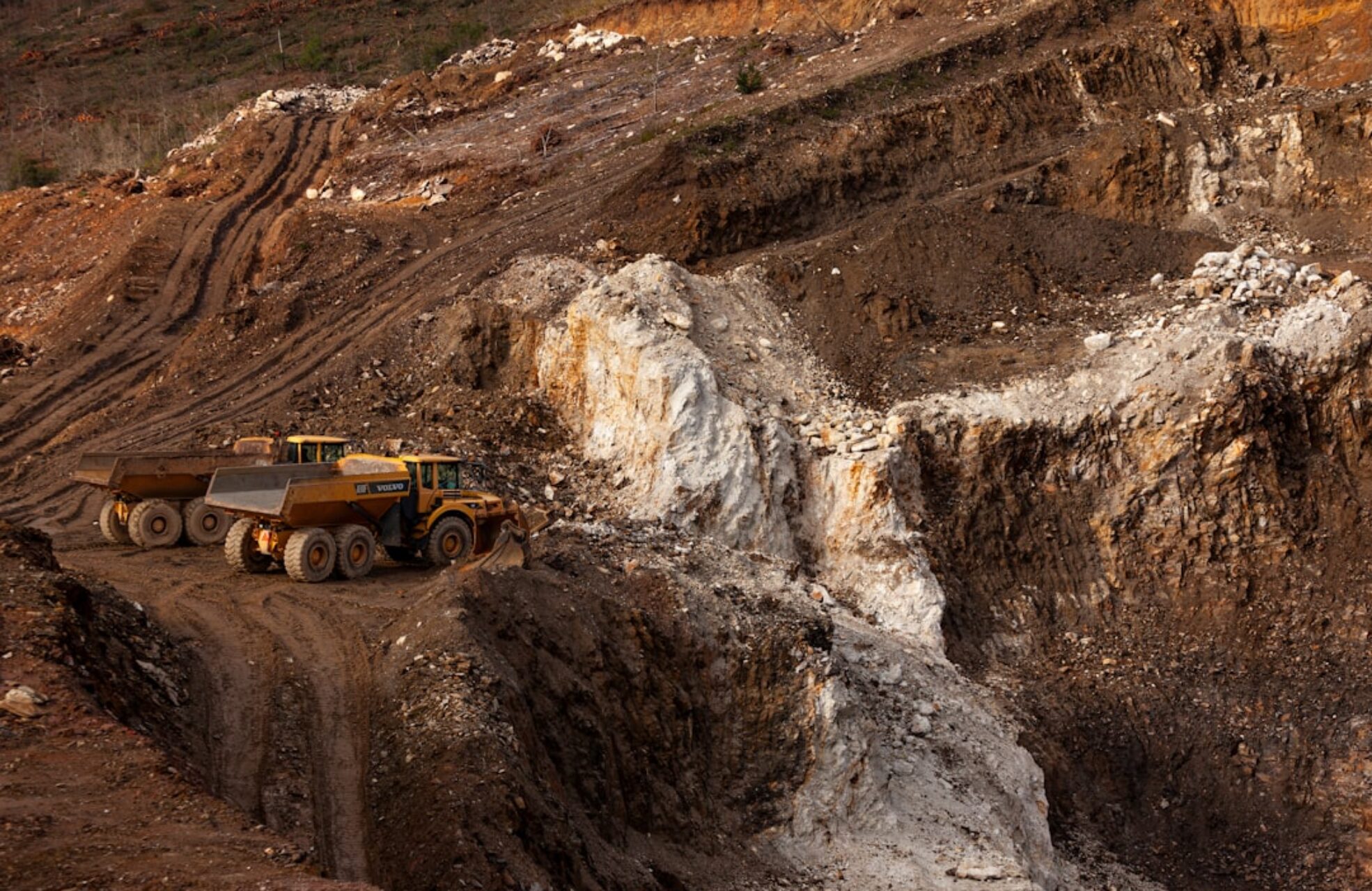 Home 11 Photo Biomining Rare Earth Metals