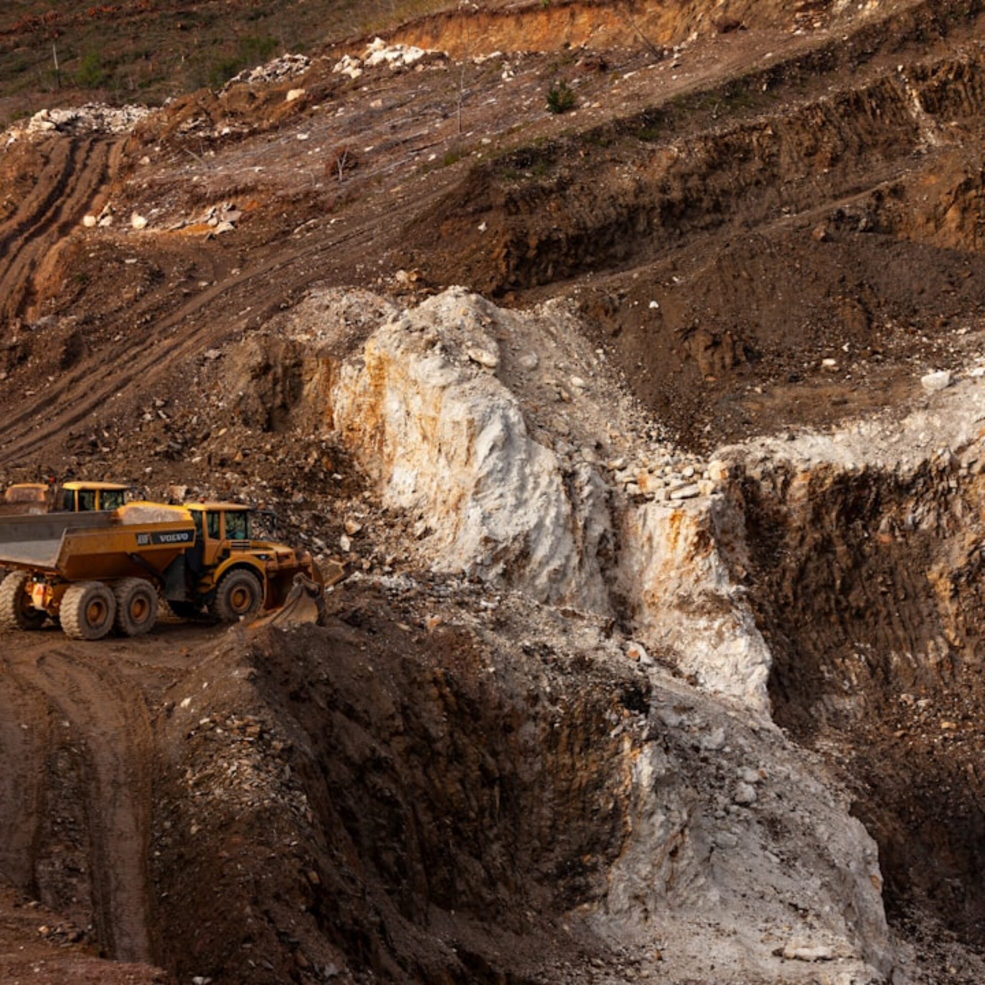 Home 40 Photo Biomining Rare Earth Metals