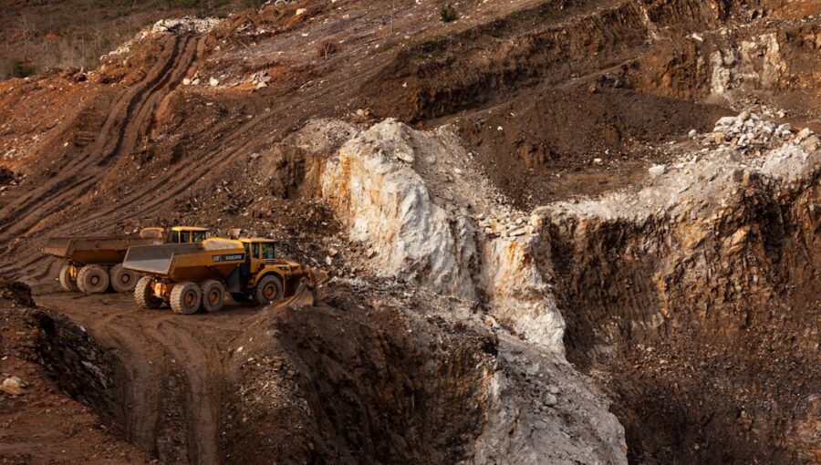 Photo Biomining Rare Earth Metals