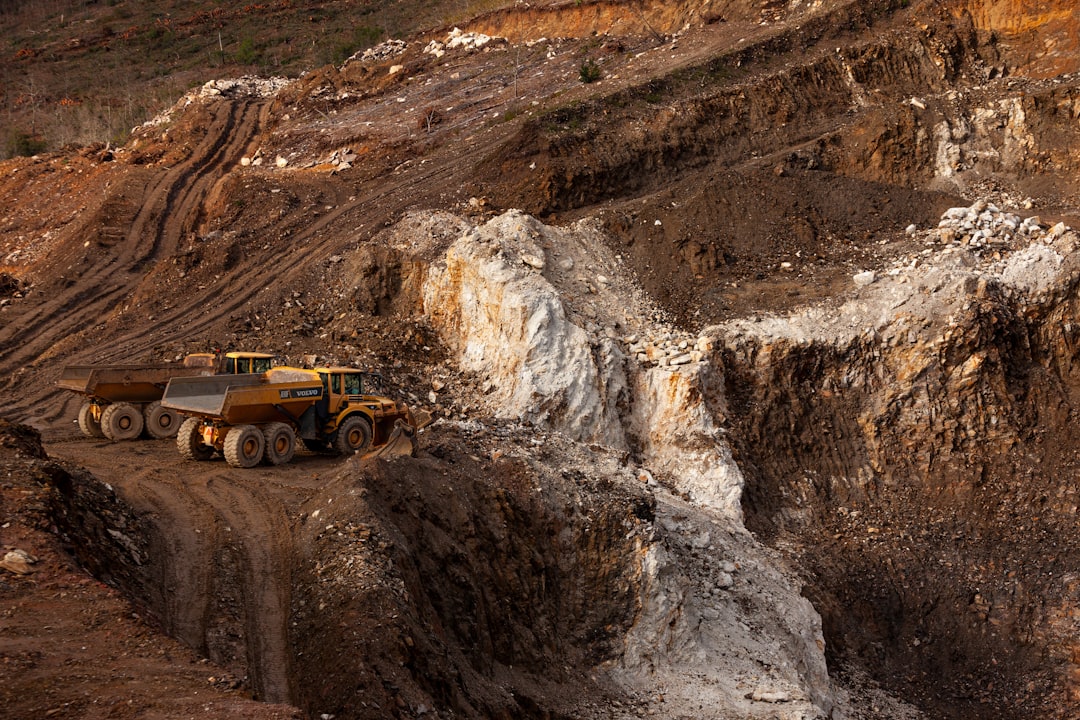 Photo Biomining Rare Earth Metals