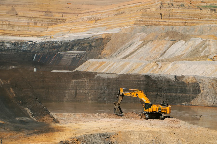 Photo Biomining Rare Earth Metals