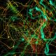 Photo Spatial Transcriptomics