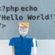 Photo Language Models