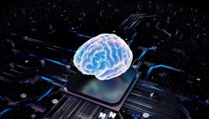 Photo Brain-Computer Interfaces