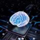 Photo Brain-Computer Interfaces