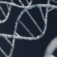 Photo Synthetic Biology
