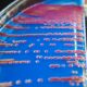 Photo Microfluidic Diagnostics