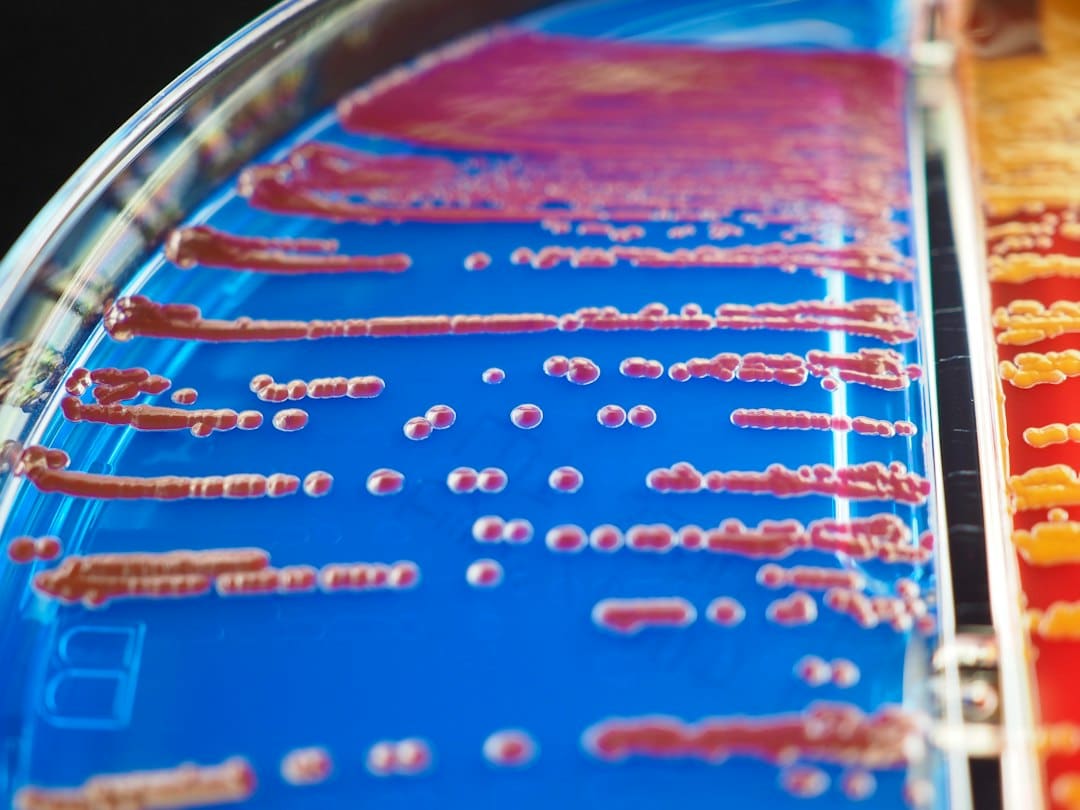 Photo Microfluidic Diagnostics