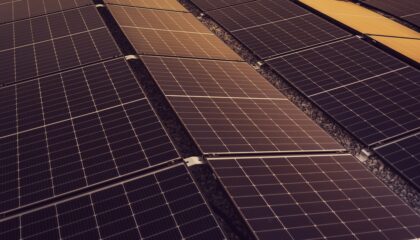 Photo Perovskite Tandem Solar Cells