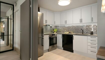 Photo Volumetric Rendering