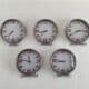 Photo Epigenetic Clocks